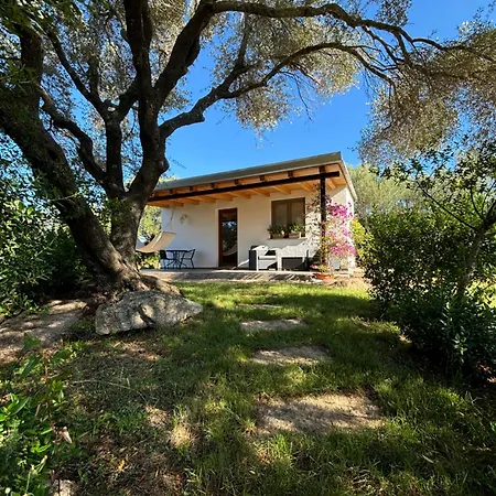Sa Istera Sardegna Pensión *