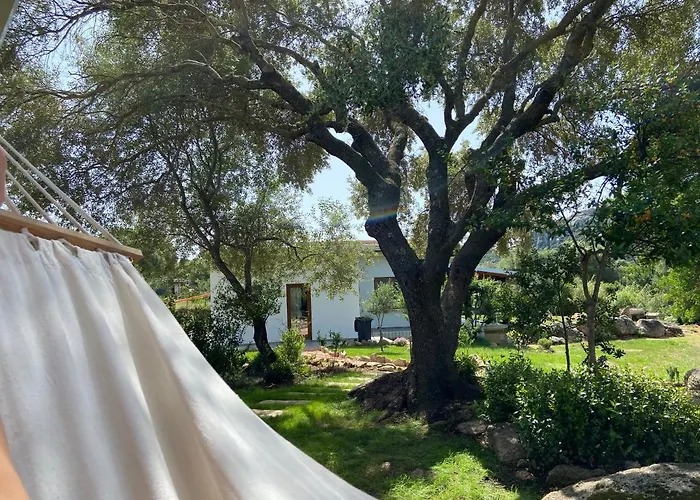 Sa Istera Sardegna 招待所 奧爾比亞